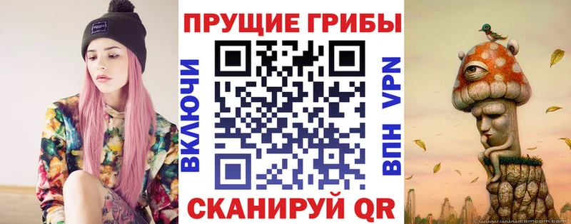 Купить где  Жуковский  Псилоцибиновые грибы Psilocybe 